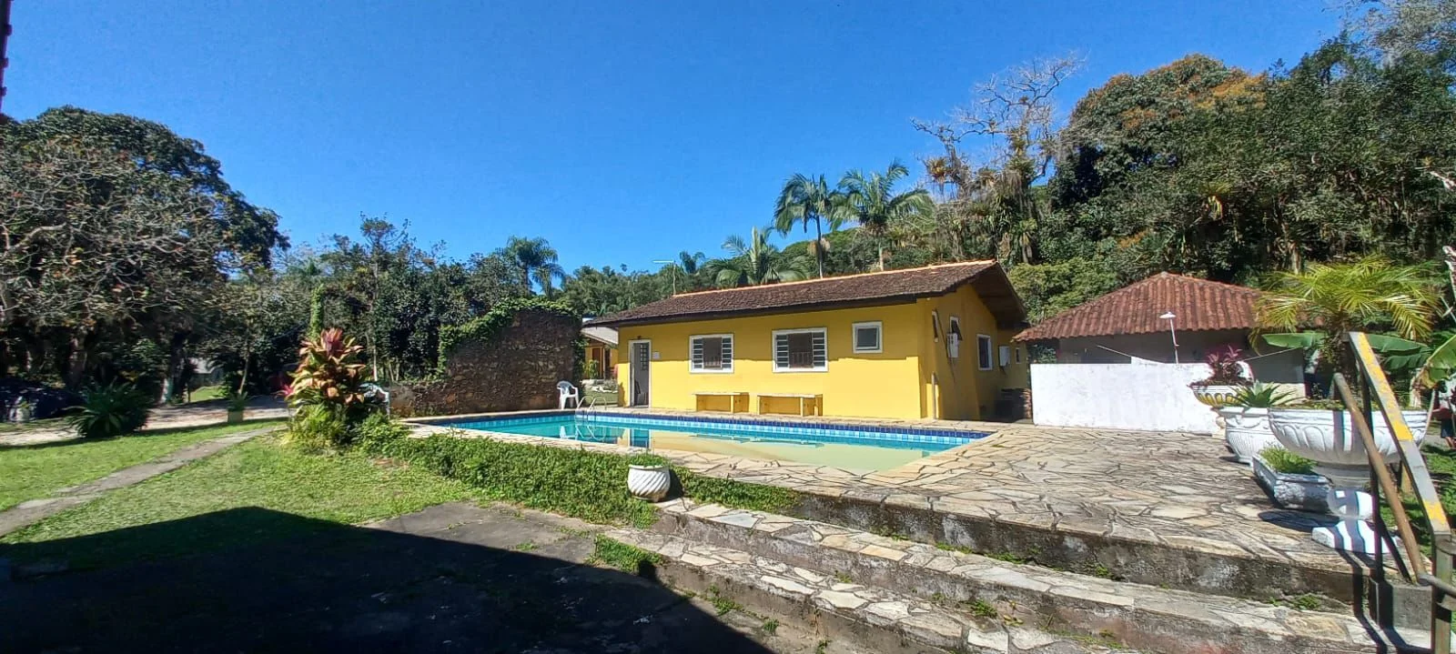 Tratamento para Adolescentes: Abordagem Especializada